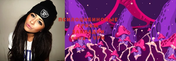 apvp Алексин