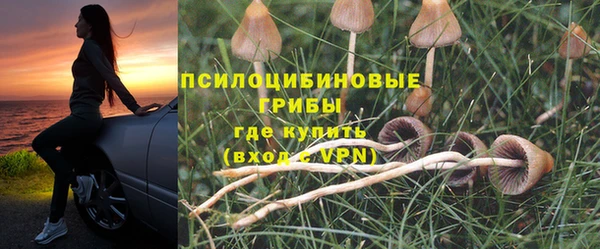 apvp Алексин