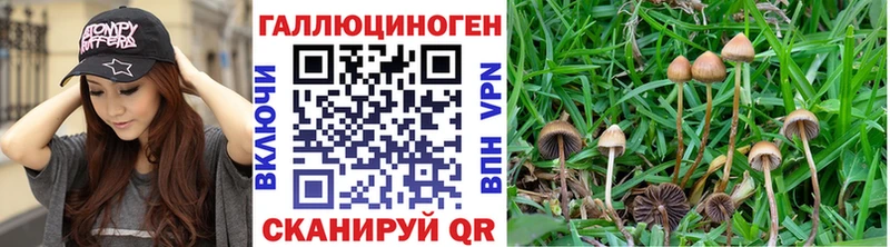 Псилоцибиновые грибы ЛСД  закладки  Нягань 